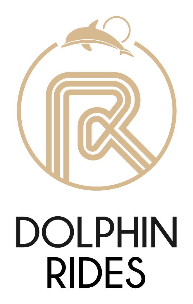 Dolphin Rides Logo